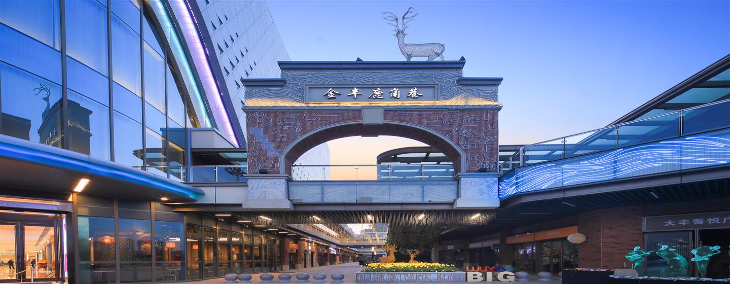 盐城大丰吾悦广场